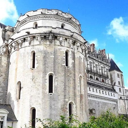 En Plein Coeur : Charmant Gite Centre Amboise Buitenkant foto
