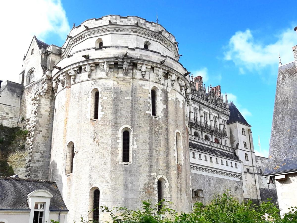 En Plein Coeur : Charmant Gite Centre Amboise Buitenkant foto